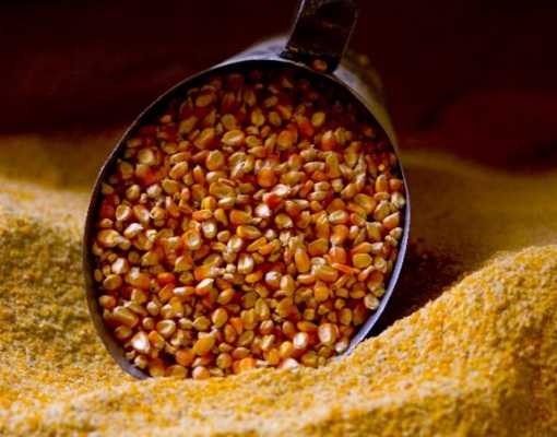 Exportação de milho do Brasil dobra em maio ante abril