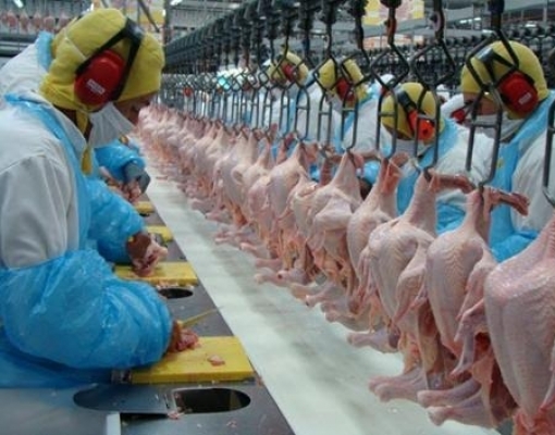 Como a guerra comercial entre EUA e China atinge o agro brasileiro