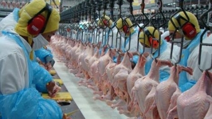 Como a guerra comercial entre EUA e China atinge o agro brasileiro