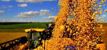 Brasil pode superar EUA na produção de soja em 2019/20