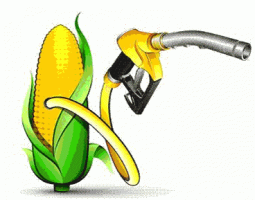 Conab divulga pela primeira vez dados sobre a produção de etanol de milho 