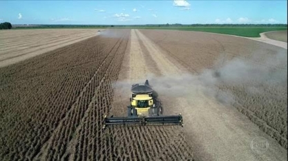 Oeste da Bahia: terra que há 30 anos valia 1 maço de cigarros