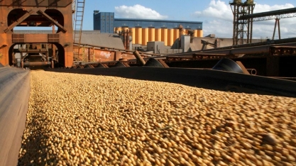  Exportação de soja do Brasil alcança 40% do esperado para todo o ano 