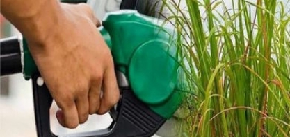 Etanol: Hidratado recua 1,94% e anidro cai 2,08% nas usinas