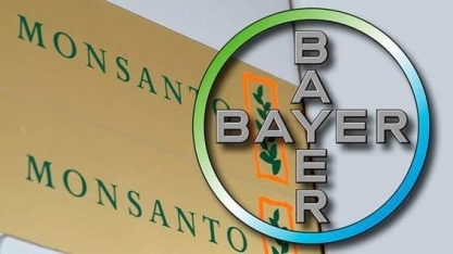 Comunidade rural chilena se volta contra Bayer-Monsanto
