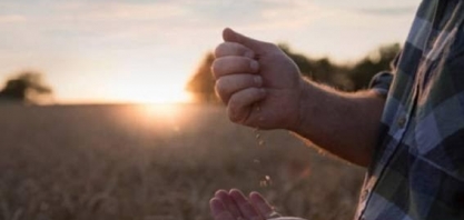 MT: Recuperação judicial de produtor rural cria conflitos com tradings