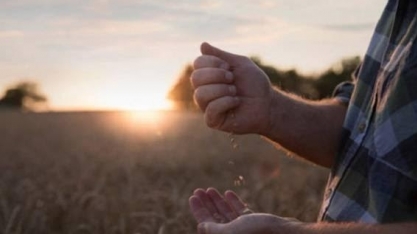 MT: Recuperação judicial de produtor rural cria conflitos com tradings