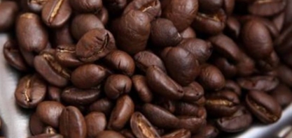 Safra de café do Brasil em 2019 deve cair para 53 mi sacas, diz FCStone