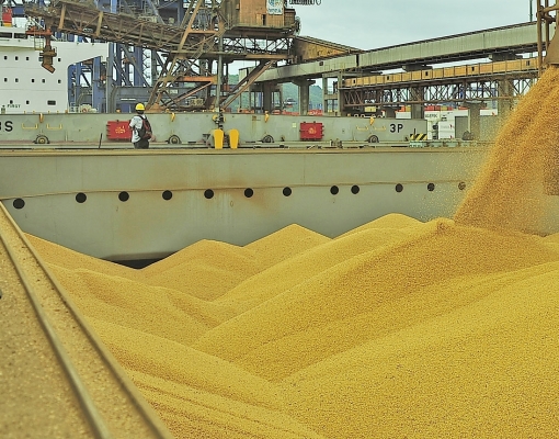 Soja em Paranaguá tem menor valor desde fevereiro de 2018 