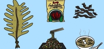 5 'superalimentos' do futuro que são bons para você e para o planeta