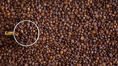 Exportação mundial de café cai 3,8% em março, para 10,98 mi de sacas 