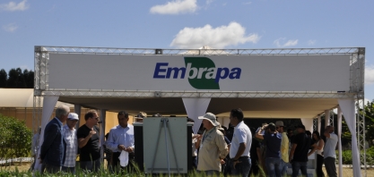 Ministério da Agricultura busca adubo financeiro para a Embrapa
