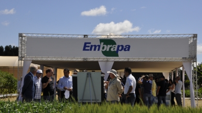 Ministério da Agricultura busca adubo financeiro para a Embrapa