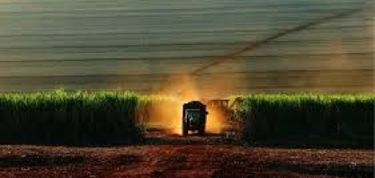 Brasil deve colher 688,6 mi de t de cana em 2019, + 1,7% ante ano anterior 