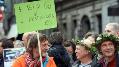 Agricultura verde da UE pode estar prejudicando o meio ambiente no Brasil