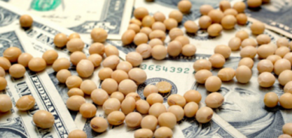 Soja recua para mínima de 10 anos por tensões comerciais EUA-China 