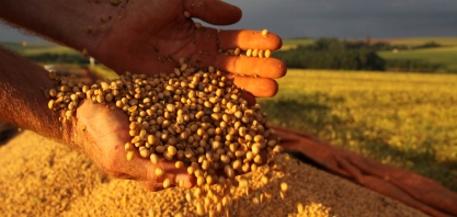 Abiove eleva em 0,6% estimativa de produção de soja; vê exportação menor 