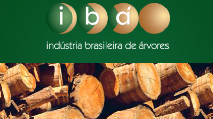 Produção brasileira de celulose recua em março, diz Ibá  