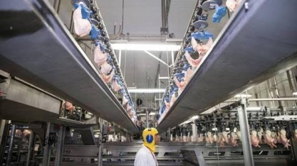 Queda na expectativa econômica afeta a produção e o consumo de alimentos