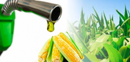 Etanol: Brasil bate recorde de produção, consumo e venda em 2018/19