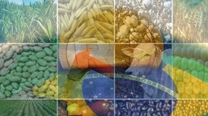 Agropecuária perde força e deixa de sustentar economia