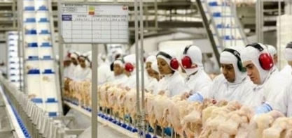 Exportação de carne de frango do Brasil avança quase 35% em abril