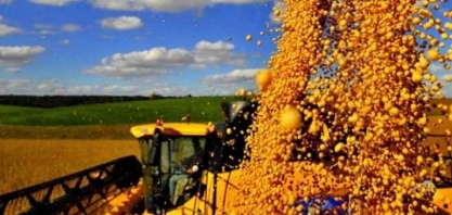 Básicos superam industrializados na balança deste ano