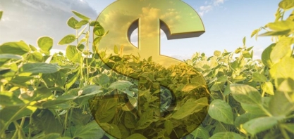 Valor Bruto da Produção de R$ 597,8 bilhões é o segundo maior da série 