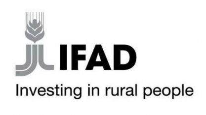 Brasil perde dinheiro da ONU para combate à fome no campo