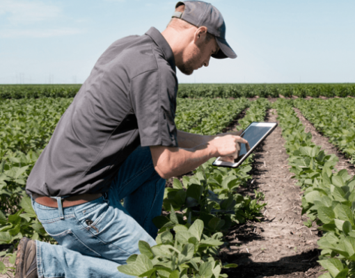 I Encontro de Negócios para a Agricultura Digital  