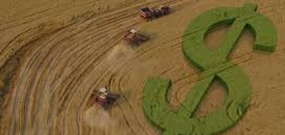 Brasil pode propor novas regras para subsídios agrícolas na OMC
