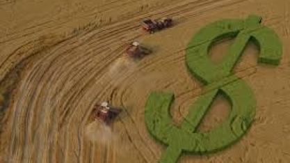 Brasil pode propor novas regras para subsídios agrícolas na OMC