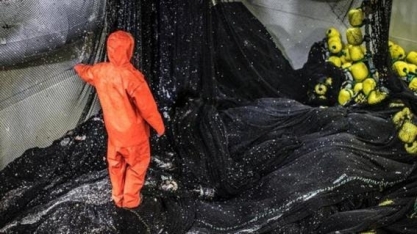 Como a tecnologia pode evitar que você consuma alimentos contaminados