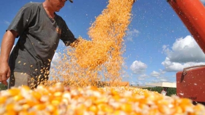 Brasil exportará recorde de 38 mi t de milho no ano,com vendas até aos EUA