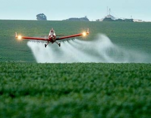 Governo aumenta as liberações de registros de agrotóxicos
