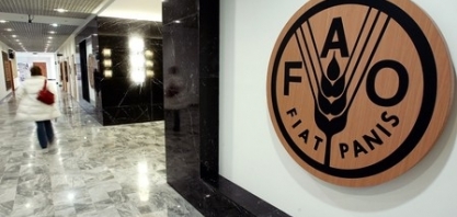 Preços globais dos alimentos sobem em maio com menor produção de cereais 