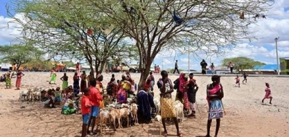 Quênia: Pastores trocam sinais do céu por SMS em busca de pasto com chuva