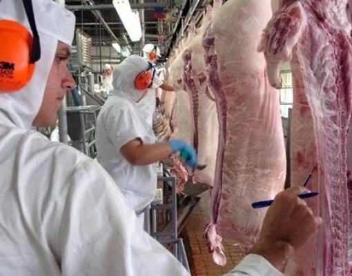 Carne suína: Exportação cresce 41% em maio ante ano anterior