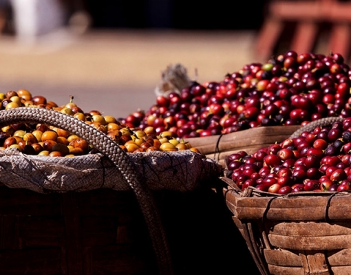 Demanda global por café deve avançar em 2019/20 com produção em queda