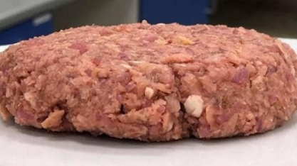 Em terra de carnívoros, opção vegetal vira realidade e atrai frigoríficos