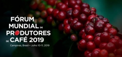 O atual cenário do setor cafeeiro brasileiro