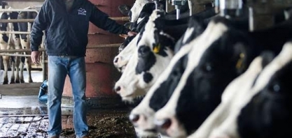 PR: Preço do litro de leite aumentou 12% nos cinco primeiros meses do ano