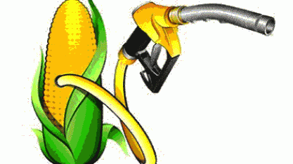  Produtores de MT fornecem milho para a produção de etanol 