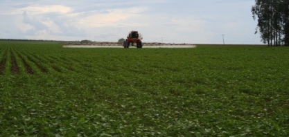 Análise Conjuntural Cepea: Soja