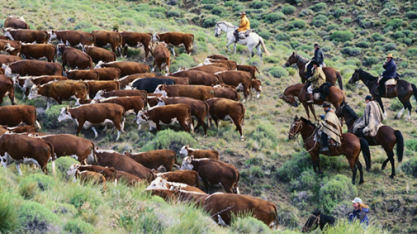 Argentina exporta mais carne para a China, mas potencial está no limite