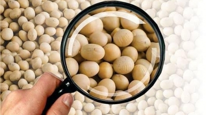 Utilização de semente certificada chega a 91% em MT