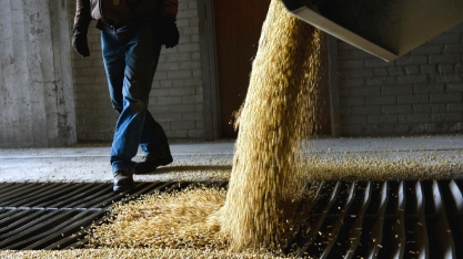 Tradings podem reduzir crédito a agricultor em 50% na safra 2019/20