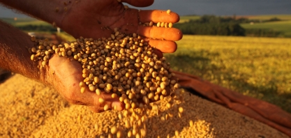 Safra de soja em 2019 será 4,5% menor que a de 2018