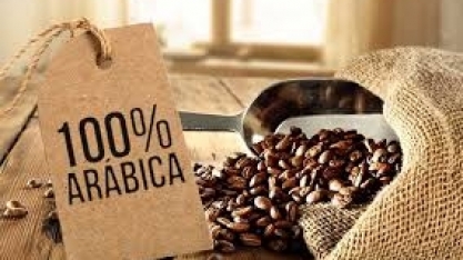 Café arábica a caminho do melhor trimestre em cinco anos