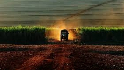 São Martinho estima avanço de 8% no processamento de cana em 2019/20 